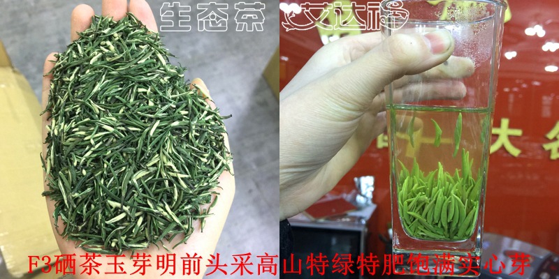 玉芽240合图
