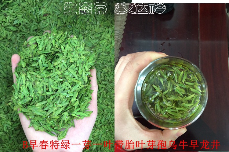 绿龙井450合图