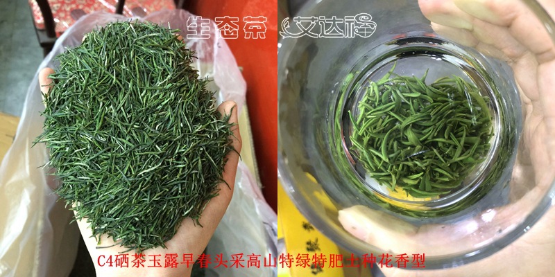 玉露300合图