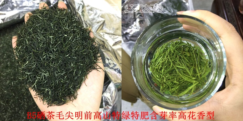 毛尖120合图