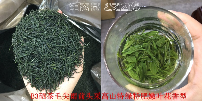 毛尖80合图