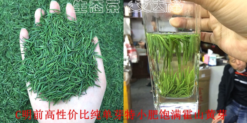 黄芽230合图