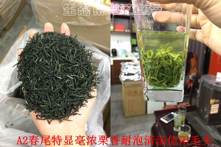 毛尖40合图