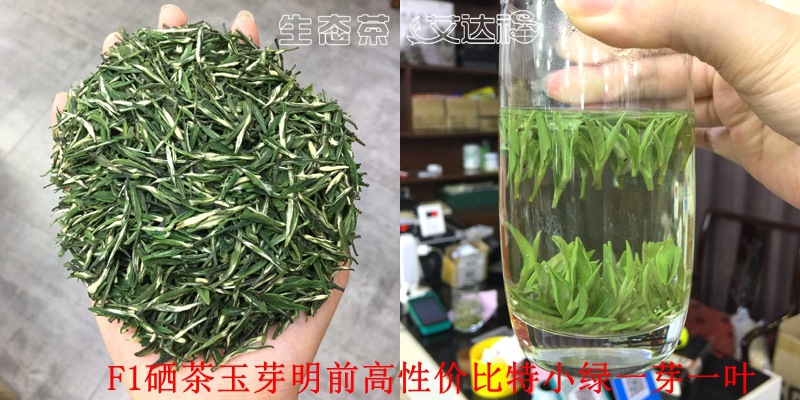 玉芽180合图