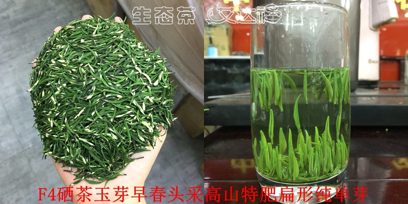 280玉芽合图