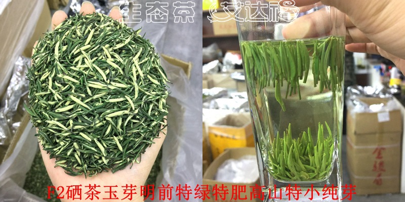玉芽210合图