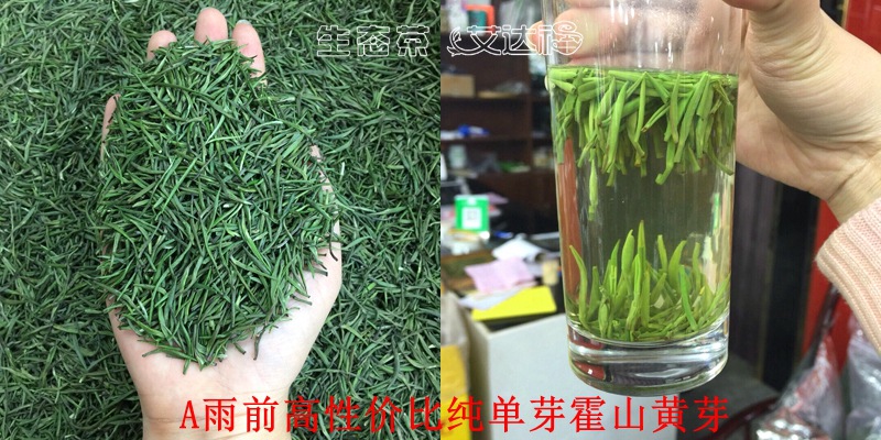 黄芽150合图