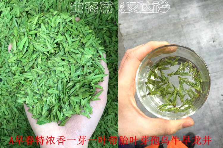 绿龙井430合图
