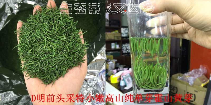 黄芽270合图