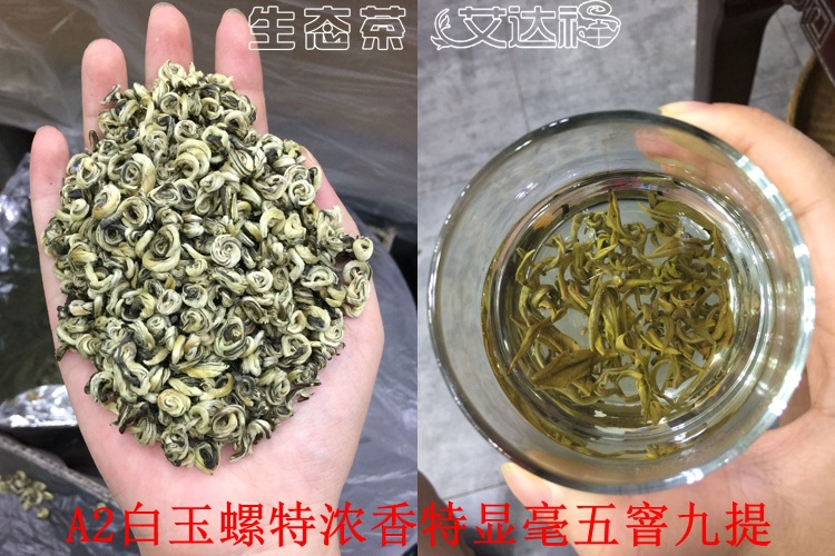 白玉螺120合图