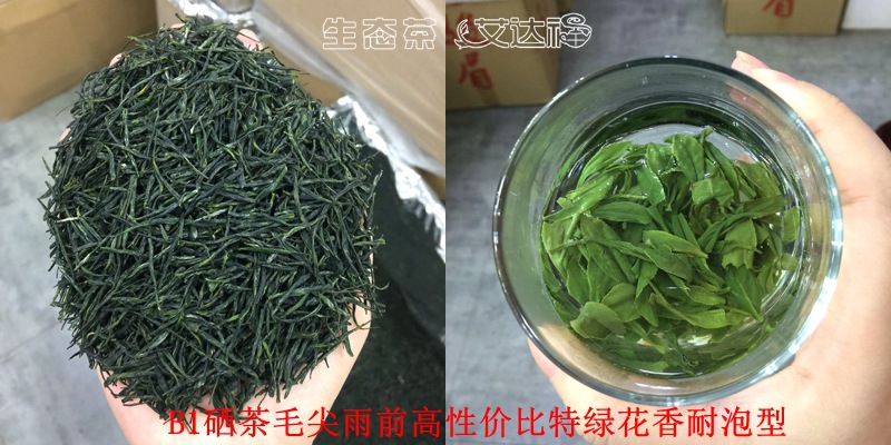 毛尖50合图