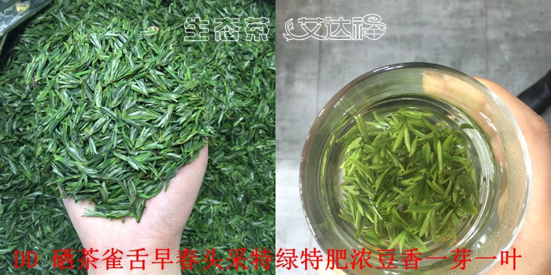 雀舌300合图