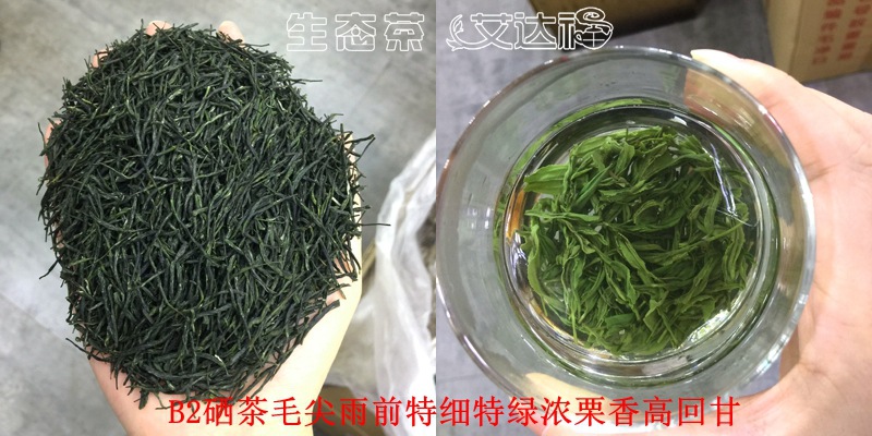 毛尖65合图