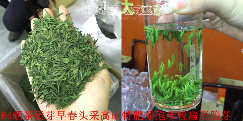 富硒贡芽450合图