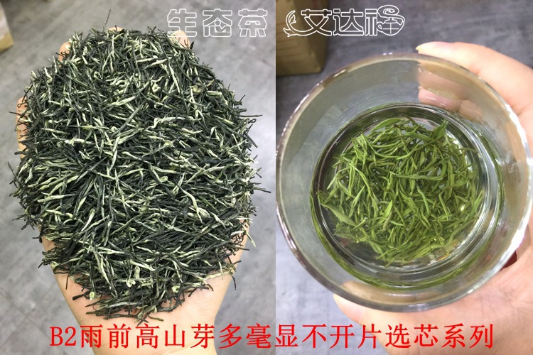 毛尖115合图