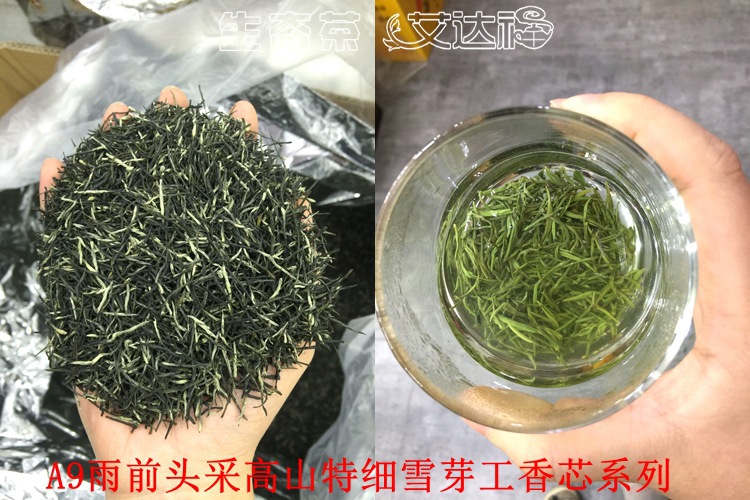 毛尖95合图